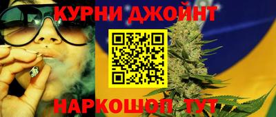 гашик Ливны