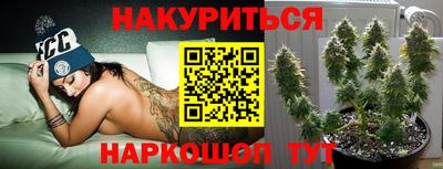 мяу мяу мука Ликино-Дулёво