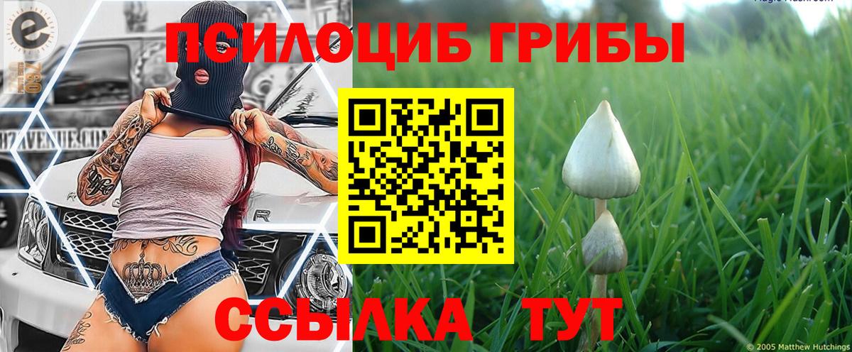 Галлюциногенные грибы Cubensis  Вход с VPN  Псилоцибиновые грибы Cubensis  Дедовск 