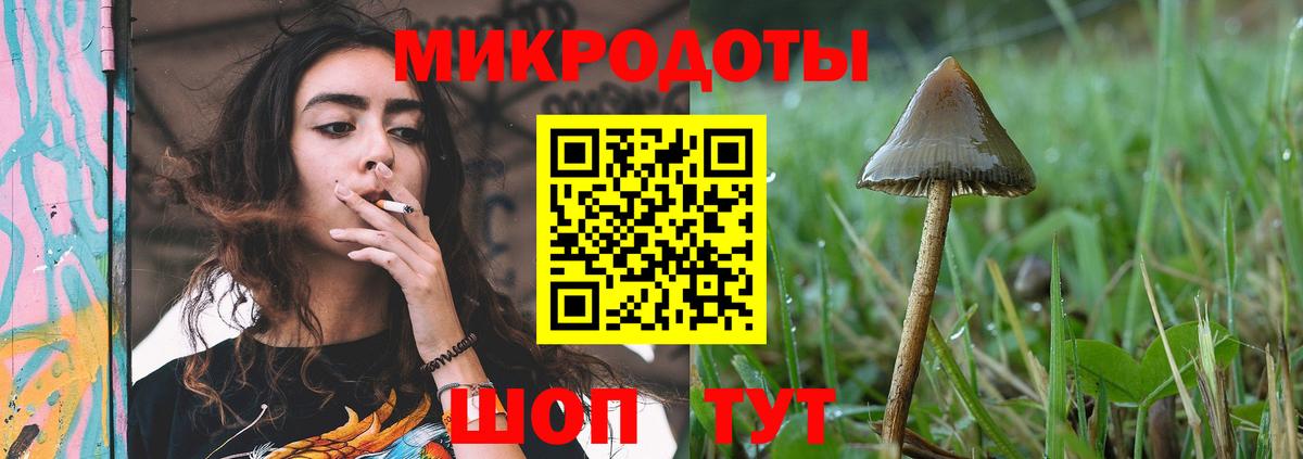 Псилоцибиновые грибы ЛСД Дедовск